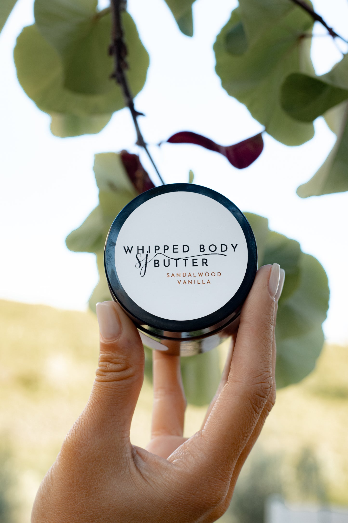 Whipped Body Butter